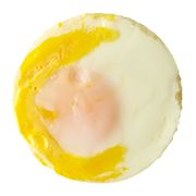 Egg